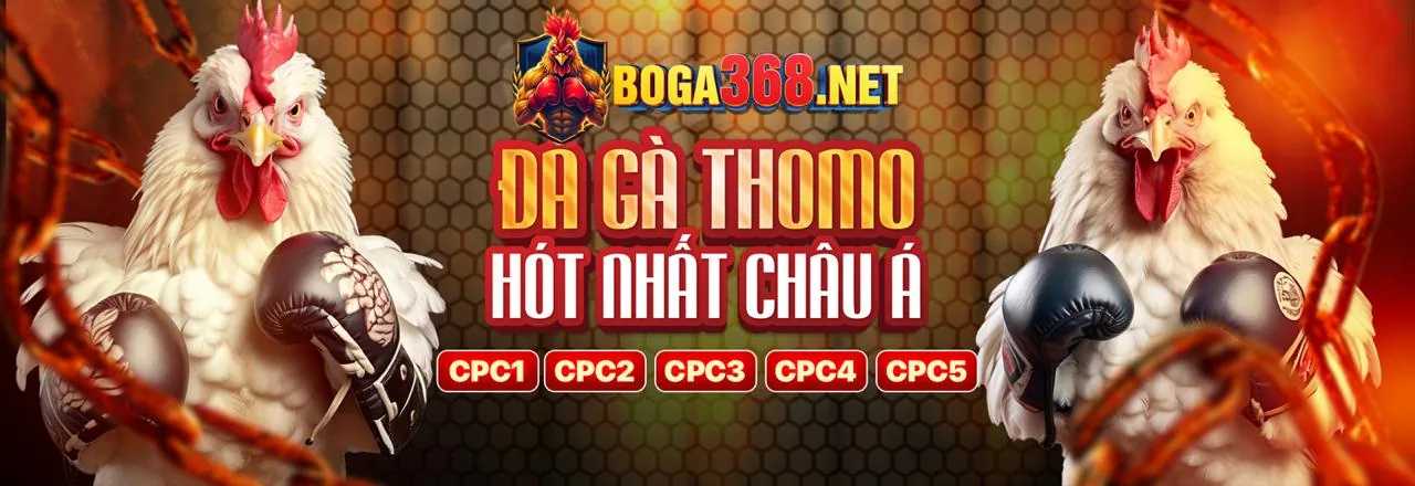 Hình ảnh chính về phân tích cá cược bóng đá VE88