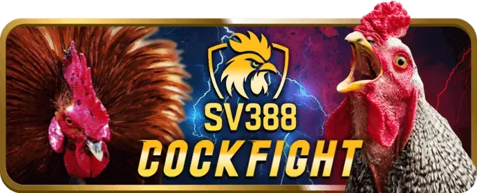 Chương Trình VIP Đặc Biệt